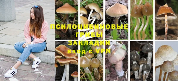 спиды Гусь-Хрустальный