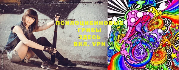 стафф Чита