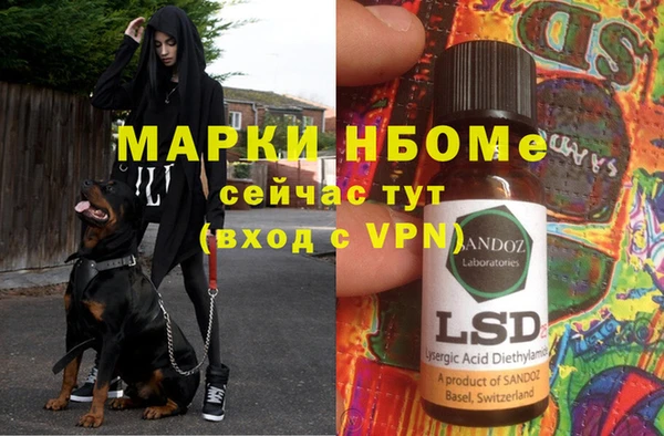 прущая мука Гусиноозёрск