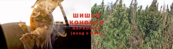 дживик Лабытнанги