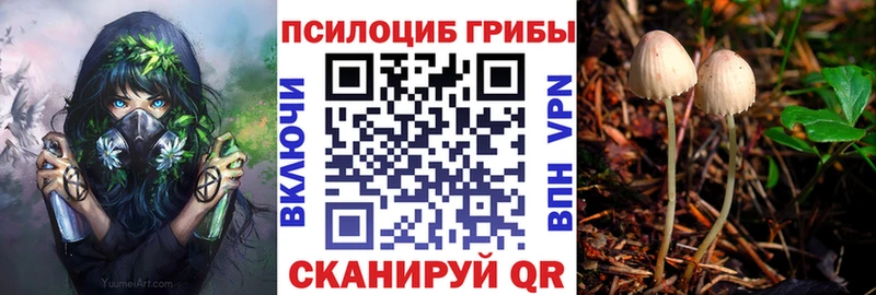 где можно купить   Бийск  мега   Галлюциногенные грибы мицелий 