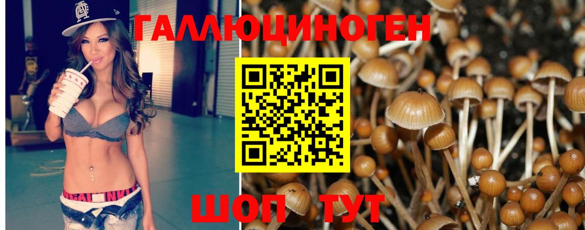 Псилоцибиновые грибы мицелий Бийск