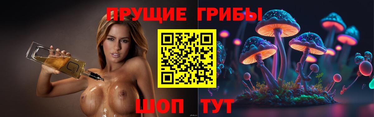 Псилоцибиновые грибы Cubensis  Вход с VPN  Бийск 