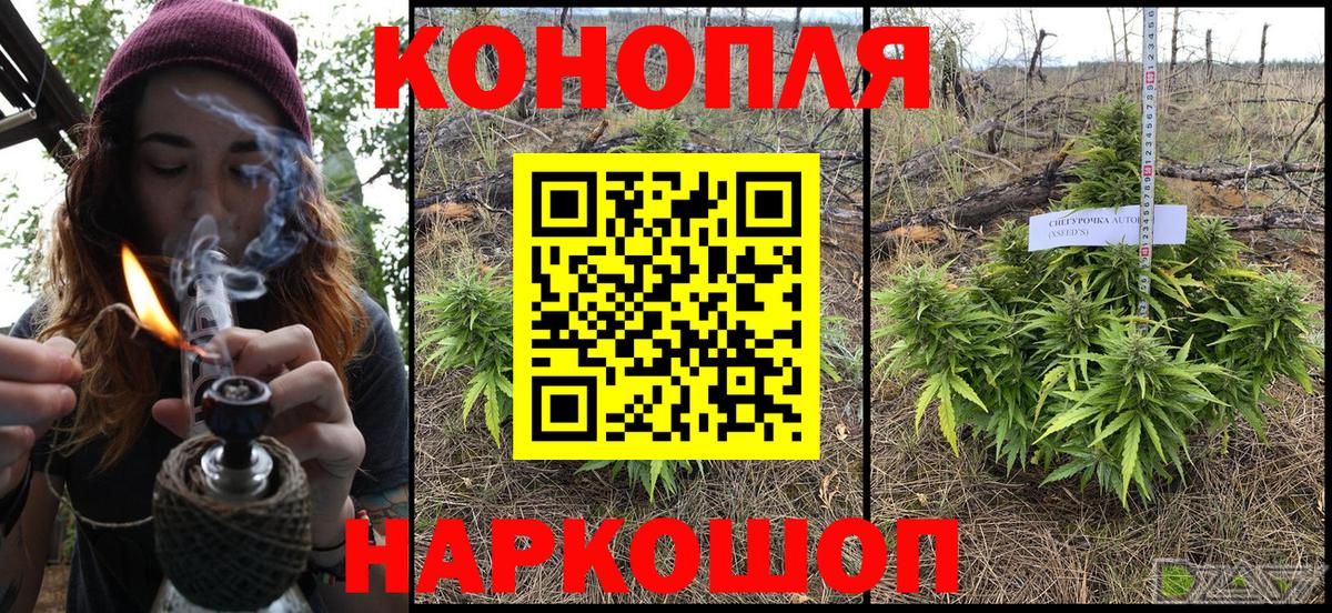 Бошки марихуана AK-47 Бийск